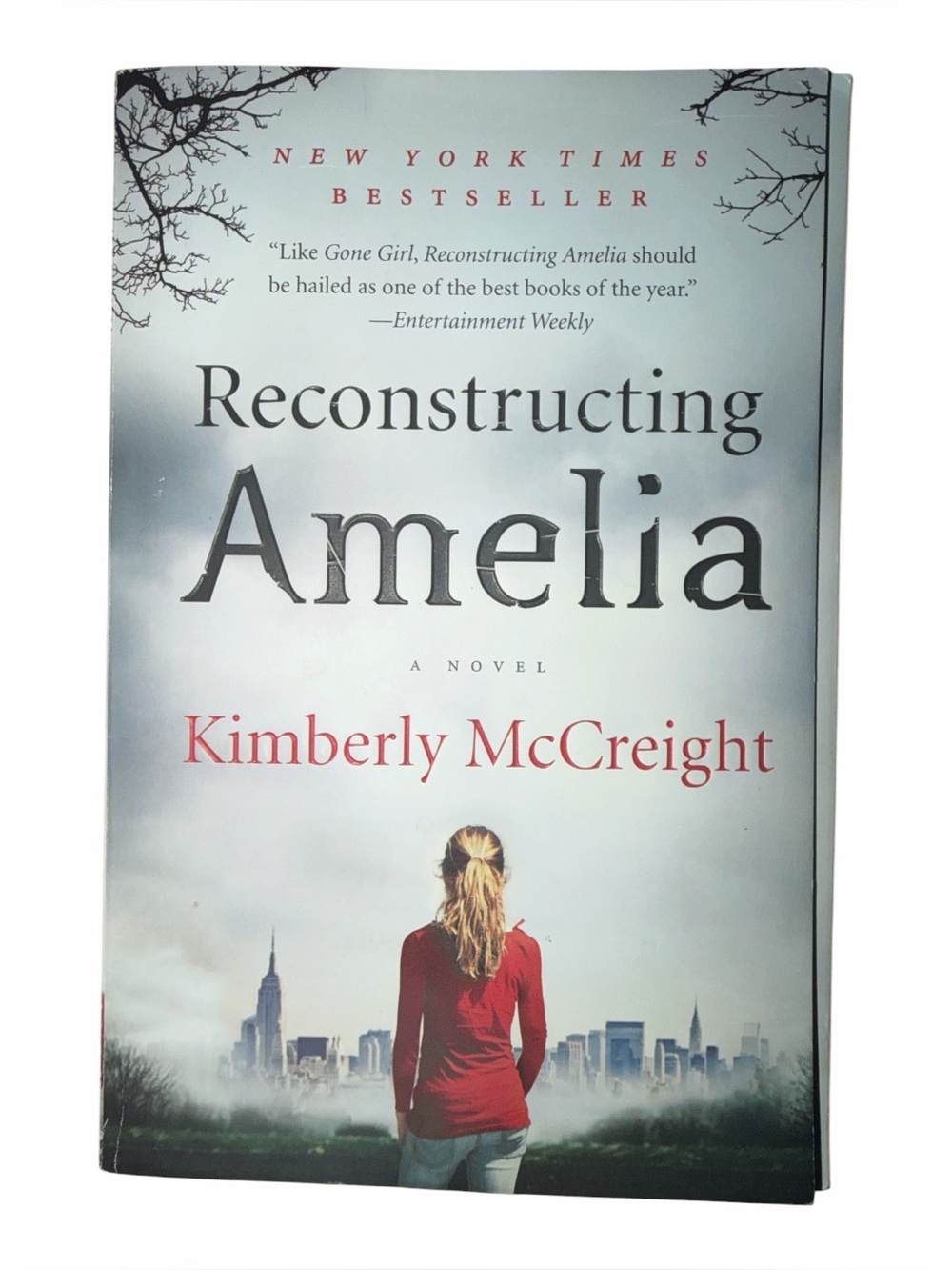 Reconstructing Amelia Kimberly McCreight Paperback Book Novel Bestseller